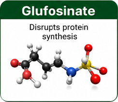 Glyphosate flaw illustration