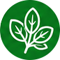 Broadleaf weed icon