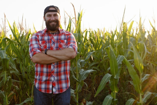 Farmer in cornfield